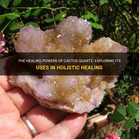 1. Unveiling the Profound Benefits of Cactus Quartz