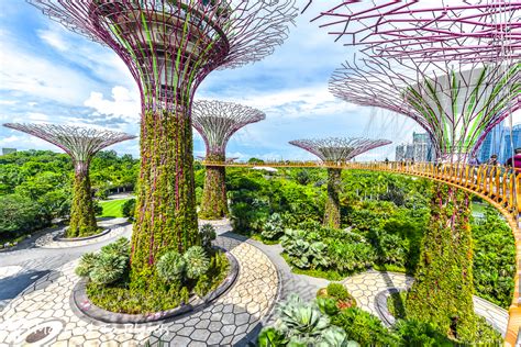 1. Unwind in Gardens by the Bay East