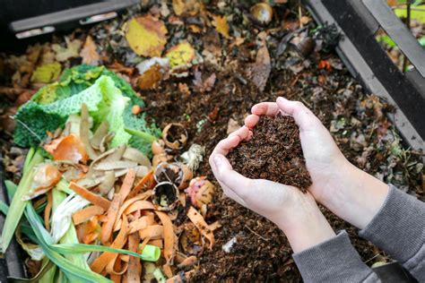 1. Use compost