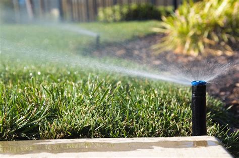 1. Use sprinklers to automate your watering