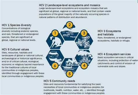 1. Value Conservation: