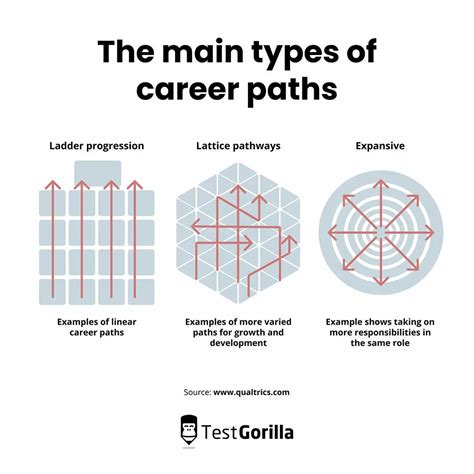 1. Variety of Career Paths