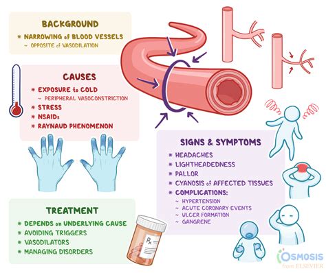 1. Vasoconstriction: