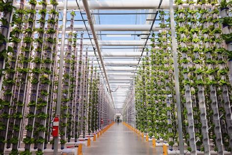 1. Vertical Farms: