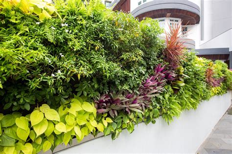 1. Vertical Gardening: Embracing the Green Wall Concept