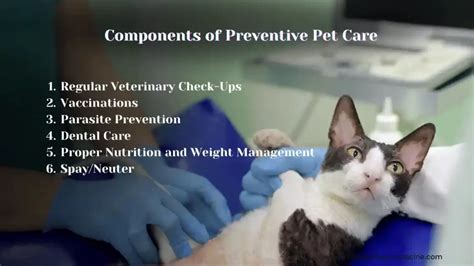 1. Veterinary Medicine and Preventative Care: