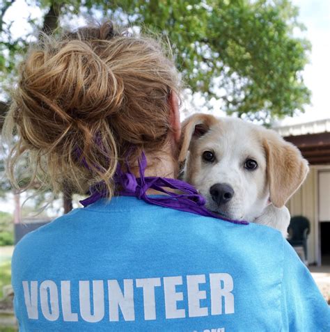 1. Volunteer with animals: