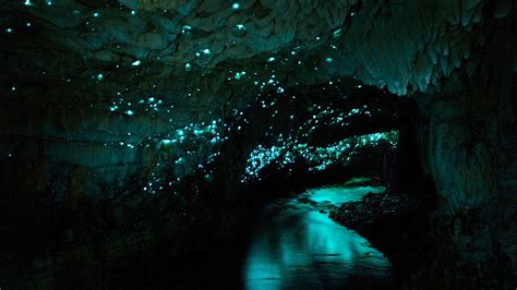 1. Waitomo Glowworm Caves, New Zealand