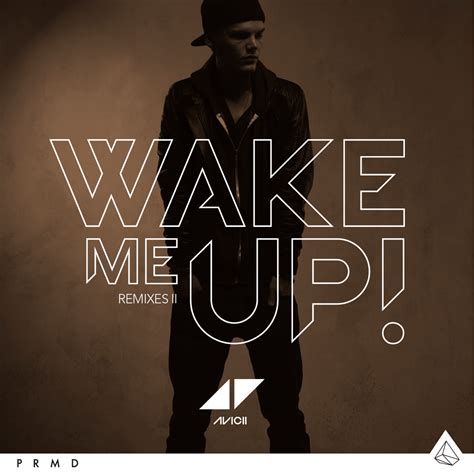 1. Wake Me Up by Avicii