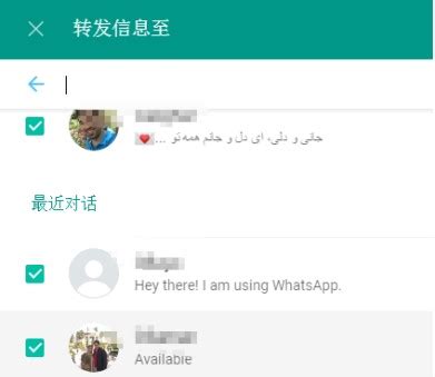 1. WhatsApp 电脑版介绍