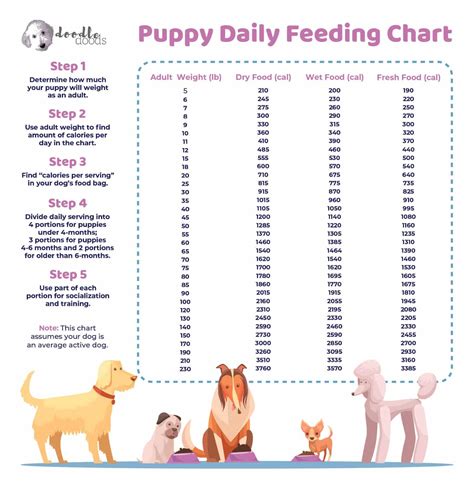 1. When and What to Feed