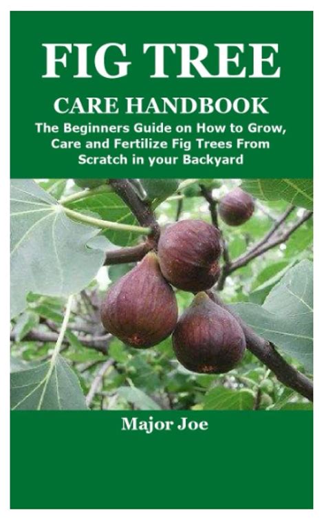 1. Why Fertilizing Fig Trees Matters