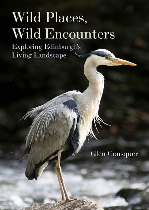 1. Wild Encounters