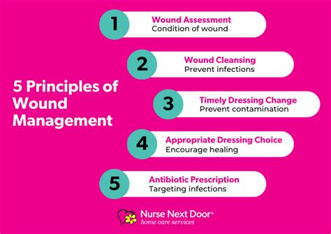 1. Wound Management