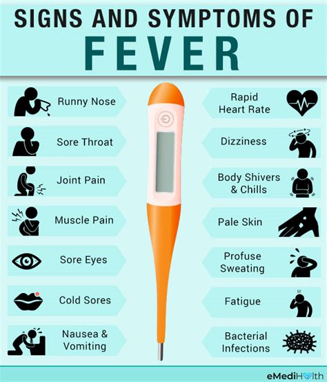 1. Your fever is gone.