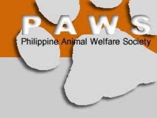 1. paws 中文適合哪些寵物使用？