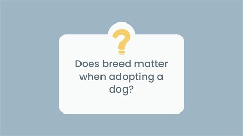 1.1 Breeds Matter: