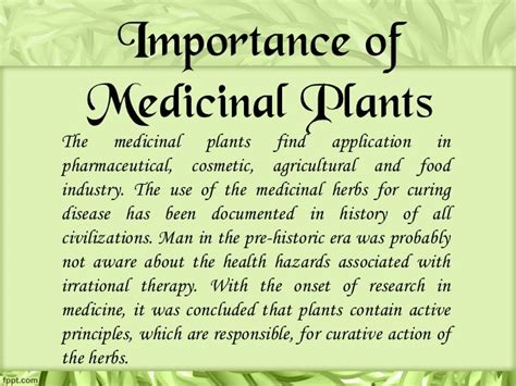 1.1 The History and Importance of Medicinal Plants