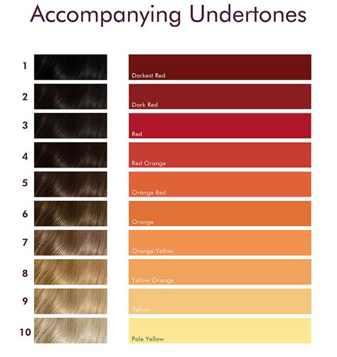 1.1 Understanding Hair Undertones