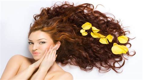 10,000+ Amazing Ways to Enhance Your Tresses with Better Oil