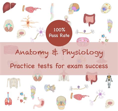 10,000+ Anatomy and Physiology Practice Test