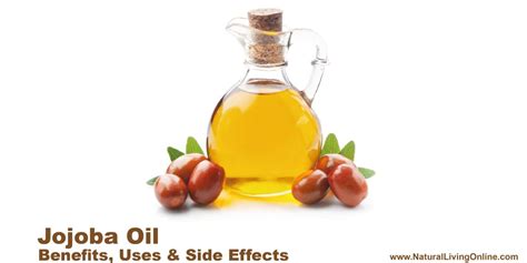 10,000+ Benefits of Jojoba Oil for Hair: A Comprehensive Guide