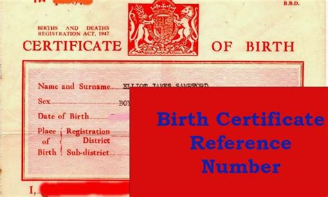 10,000+ Birth Certificate Document Numbers for Your Reference