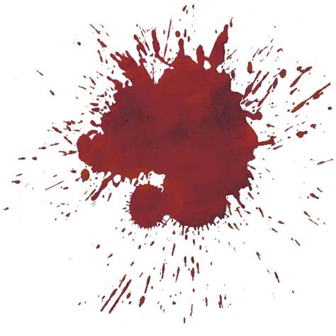 10,000+ Bloodstain Labels: A Comprehensive Guide to Bloodstain Pattern Analysis