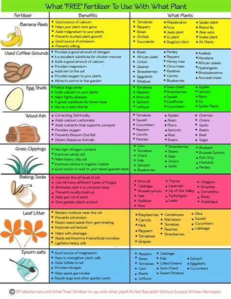 10,000+ Character Guide to Organic Tree Fertilizer