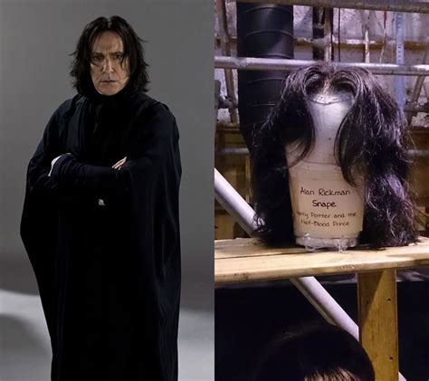 10,000+ Characters: Exploring the Enigmatic World of Professor Snape's Wigs