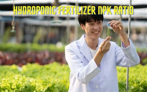 10,000+ Characters on Organic Hydroponic Fertilizers: A Comprehensive Guide