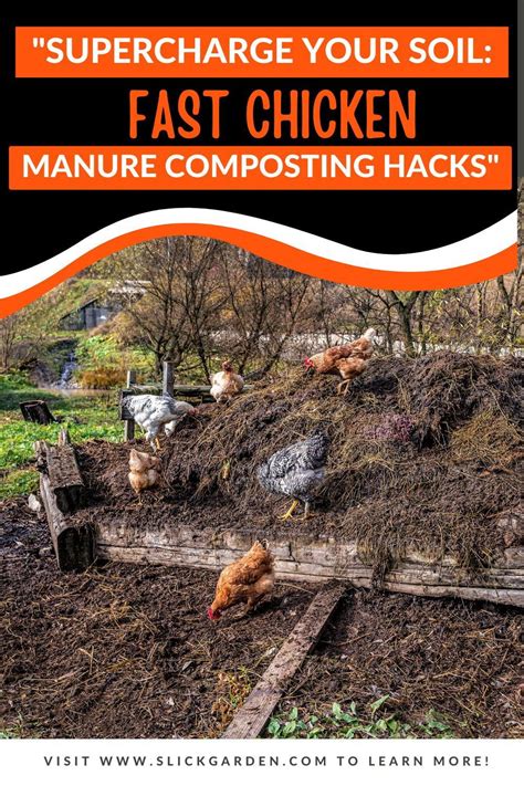 10,000+ Eggstreme Tips: Supercharge Your Chicken Compost Machine