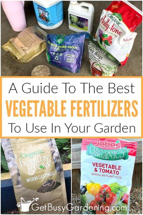 10,000+ Epic Vegetable Fertilizers: Transform Your Garden