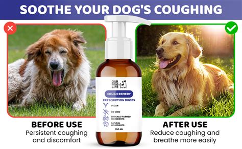 10,000+ Essential Cough Medication for Dogs: A Comprehensive Guide