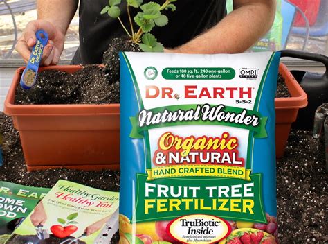 10,000+ Essential Tips on Fertilization For Fruit Trees