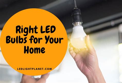 10,000+ Exterior LED Light Bulbs: Guide to Choosing the Perfect Bulbs for Your Needs