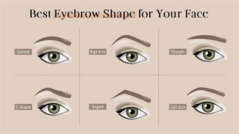 10,000+ Female Eyebrow Shapes: The Ultimate Guide to Perfect Arches