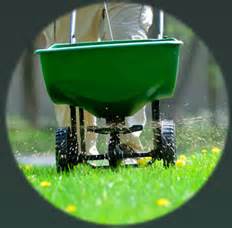 10,000+ Fertilizing Services