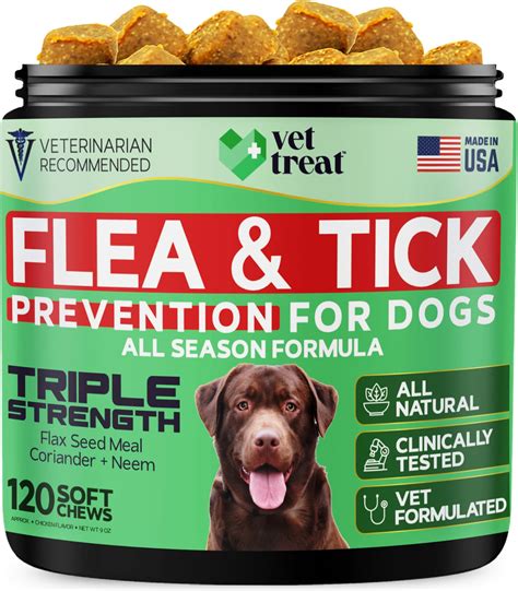 10,000+ Fleas on Dogs: Prevention and Treatment