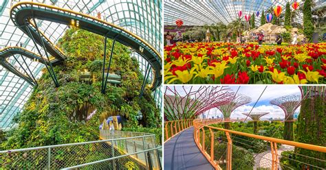 10,000+ Gardens by the Bay Membership Benefits You Can't Miss