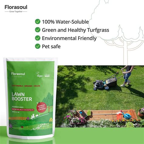 10,000+ Grass Fertilizers Safe for Dogs: The Ultimate Guide to Keeping Your Lawn and Pets Healthy