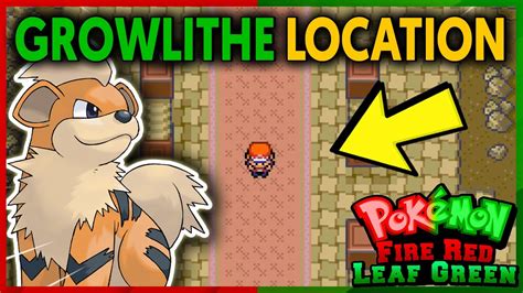 10,000+ Growlithe Fire Red: The Ultimate Guide