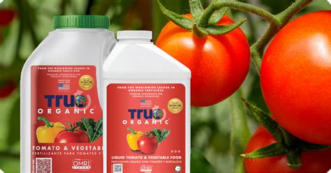 10,000+ Organic Tomato Plant Fertilizer Secrets: Boost Yields and Flavor!