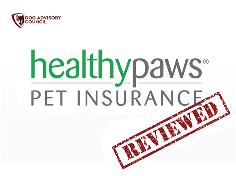 10,000+ Paw-sitive Reasons to Choose Healthy Paws Insurance