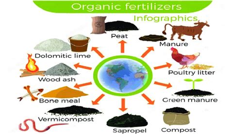 10,000+ Potassium-Rich Organic Fertilizers: A Comprehensive Guide