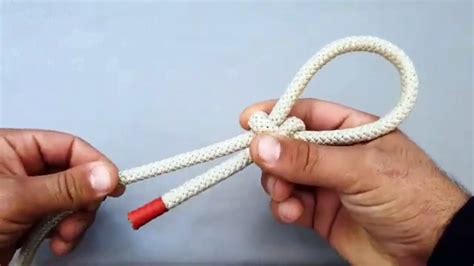 10,000+ Powerful M/s Knots: Unveiling Their Endless Applications