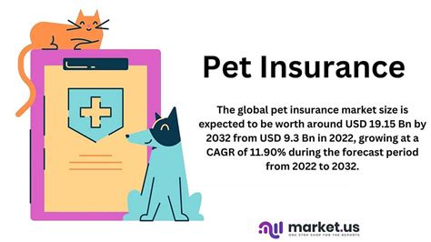 10,000+ Reasons Why Pet Cat Insurance Matters