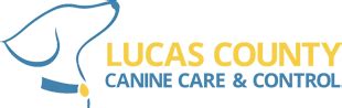 10,000+ Reasons to Choose Lucas County Canine Care: A Comprehensive Guide