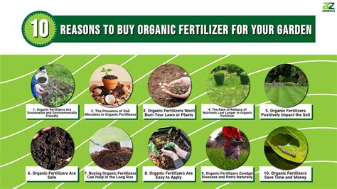 10,000+ Reasons to Choose Organic Fertilizers for Lawns