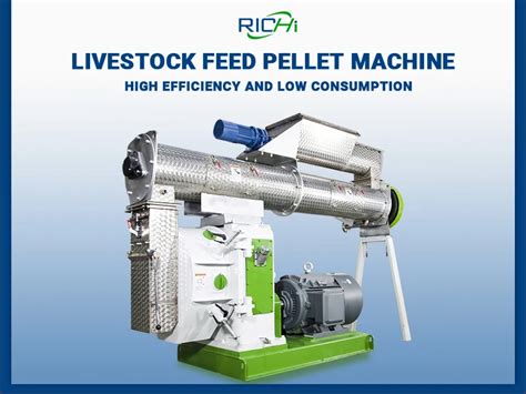 10,000+ Reasons to Invest in a Cattle Feed Pellet Machine